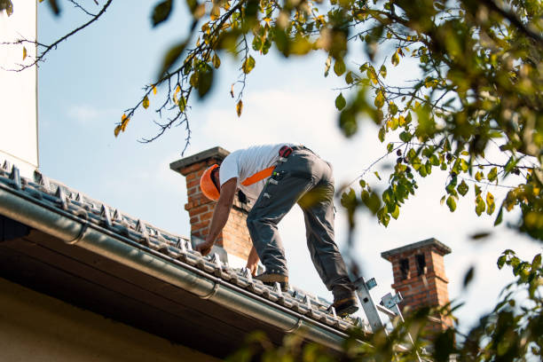 Best Roof Insulation Installation  in Marengo, IL