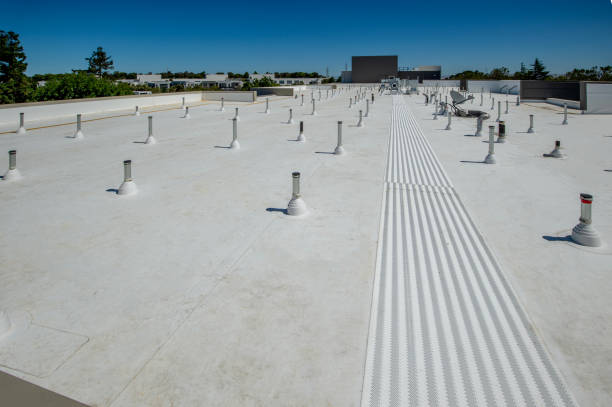 Best Asphalt Shingle Roofing  in Marengo, IL